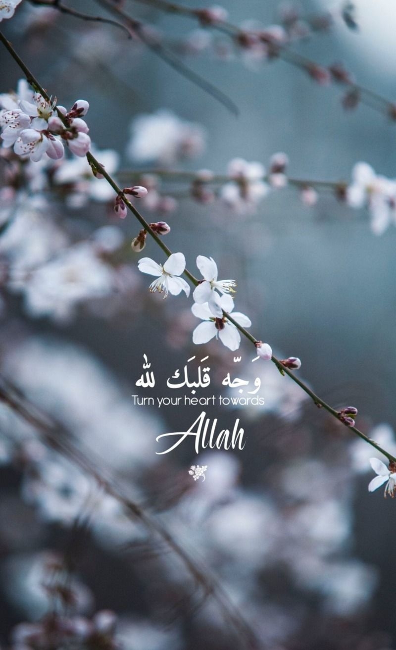 800x1320 Islamic Quotes, Phone