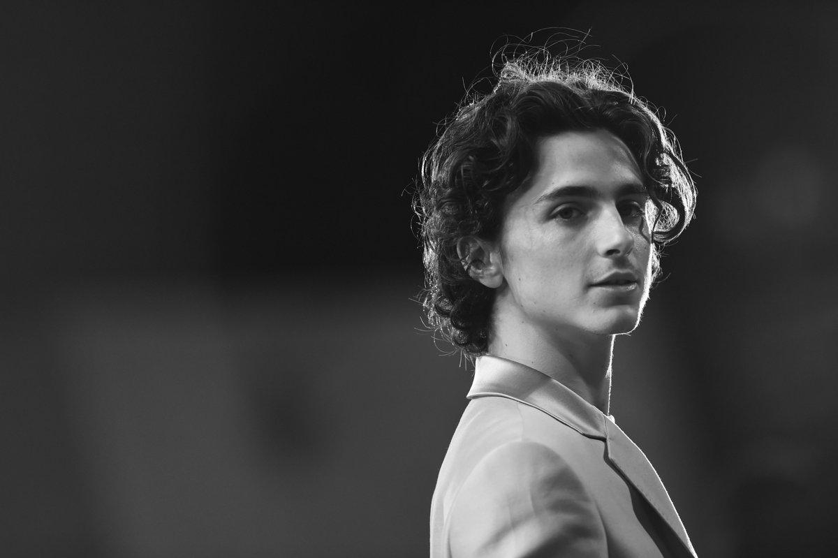 1200x800 Timothee Chalamet Wallpaper for Desktop it up, Desktop