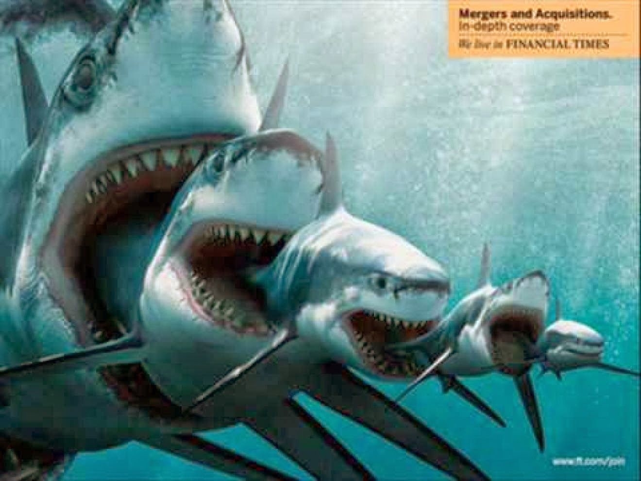 1320x990 Megalodon Wallpaper Free Megalodon Background, Desktop