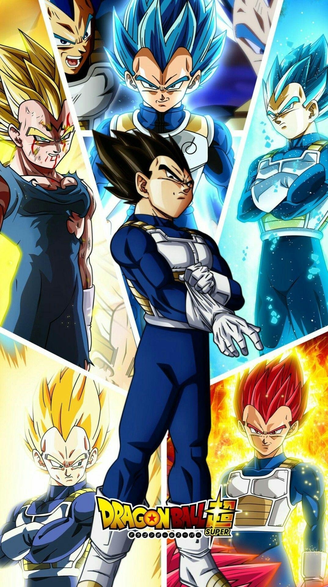 1080x1920 Goku And Vegeta All Forms Wallpaperwalpaperlist.com, Phone