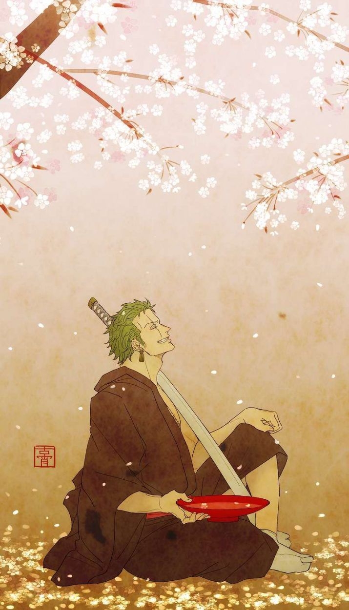 720x1260 Zoro Wallpaper, Phone