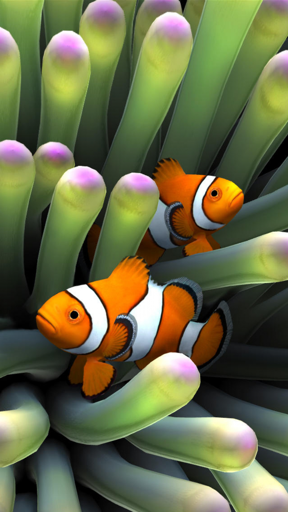 1000x1780 iPhone 2g Clownfish Wallpaper, Phone