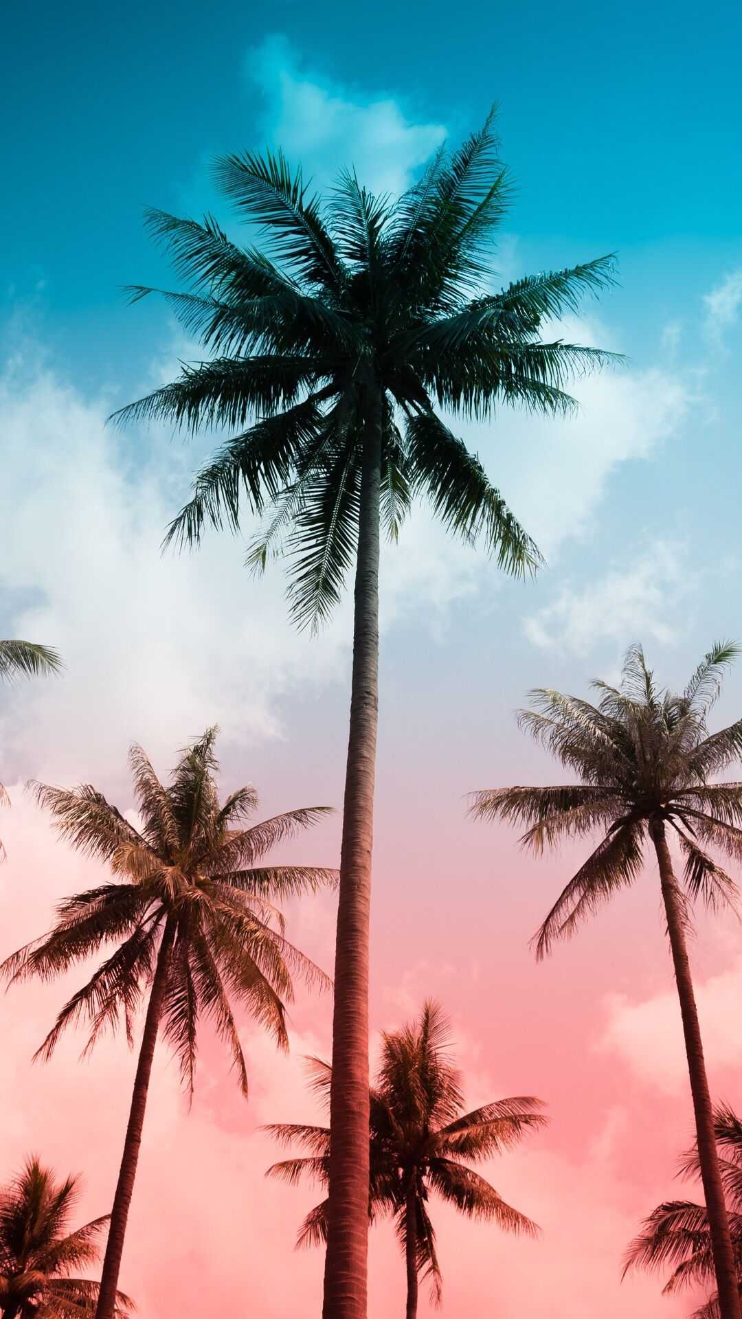 1080x1920 Summer Vibes Wallpaper, Phone