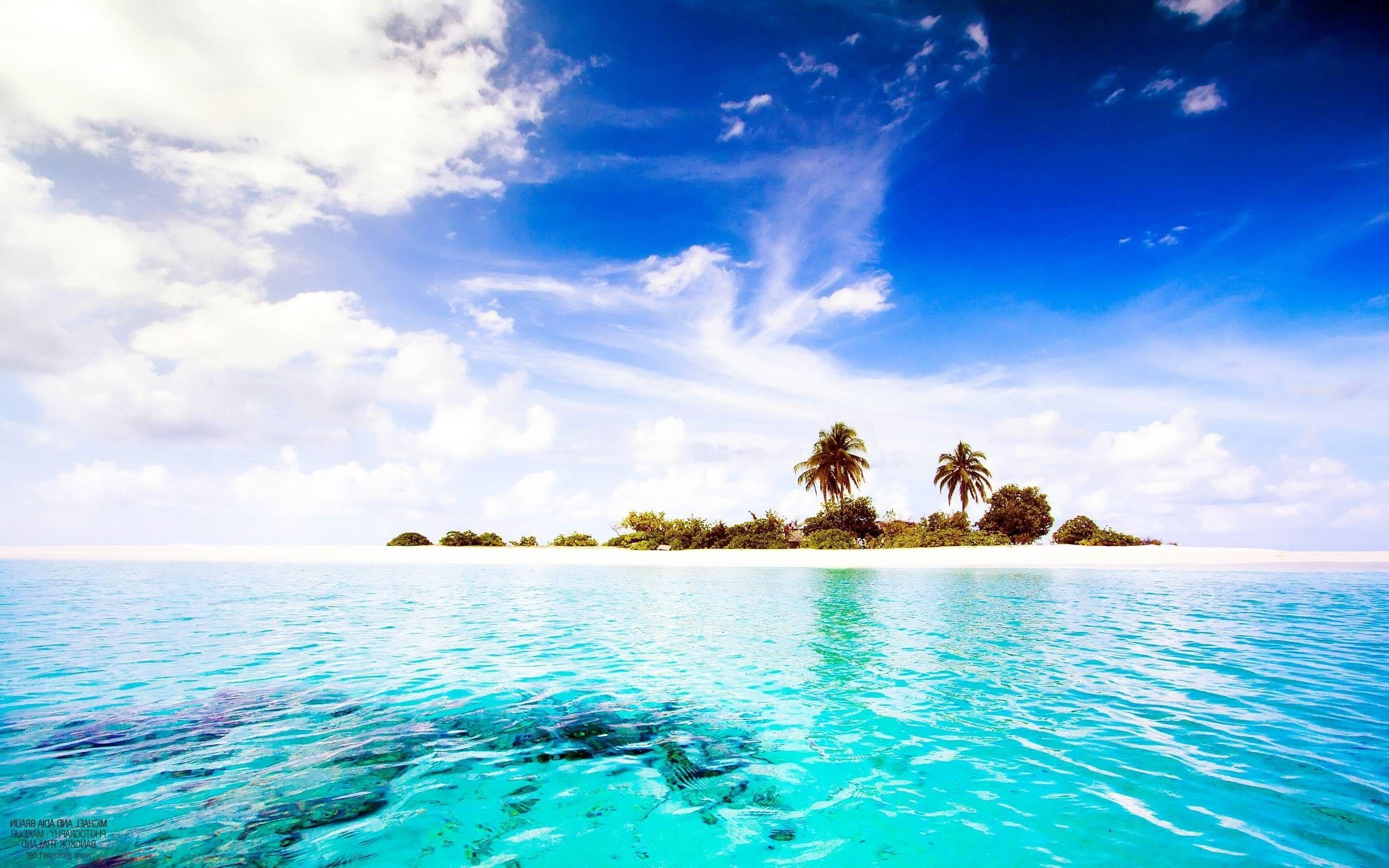 2560x1600 photography landscape island tropical water sea palm trees plants, Desktop