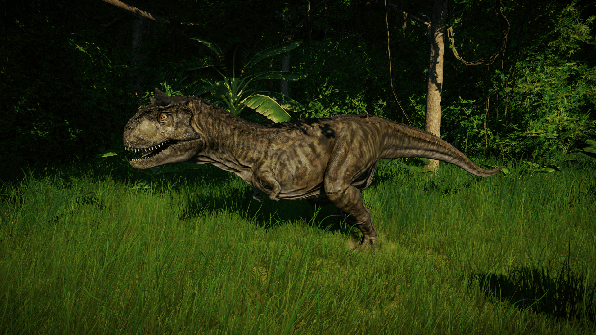 1920x1080 Carnotaurus. Jurassic World Evolution, Desktop