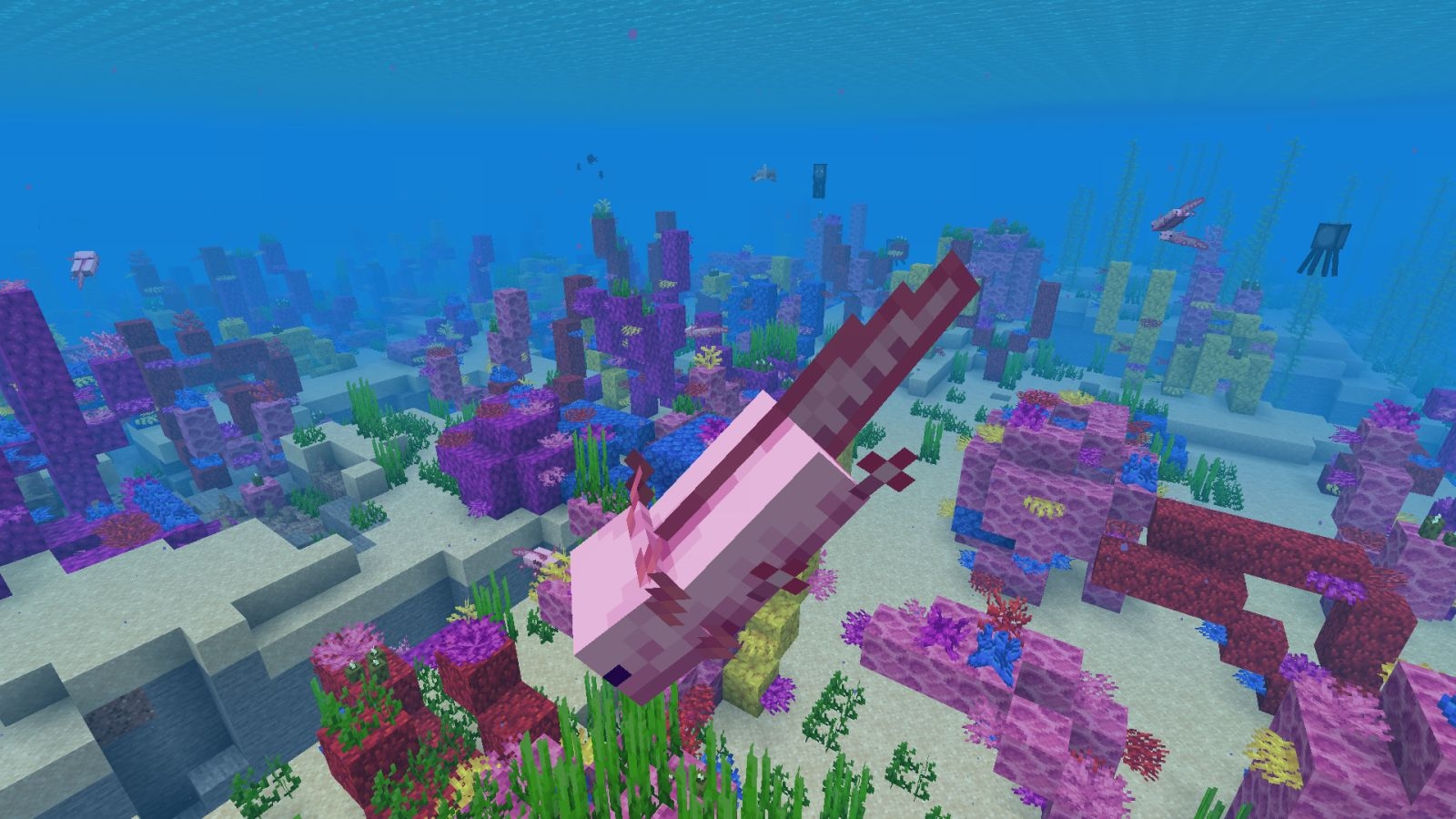 1600x900 Minecraft Axolotls to tame Axolotl, what do Axolotls eat.com Video Game News & Guides, Desktop