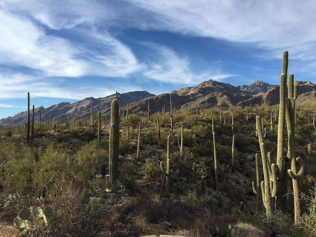 1030x770 Breathtaking National Parks to visit this Spring, Desktop