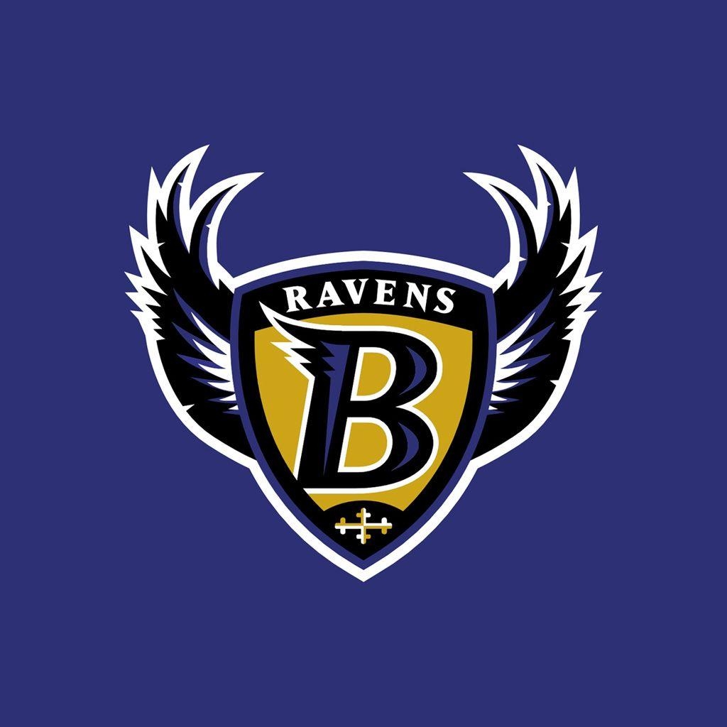 1030x1030 Baltimore Ravens wings iPad 1024×1024, Phone