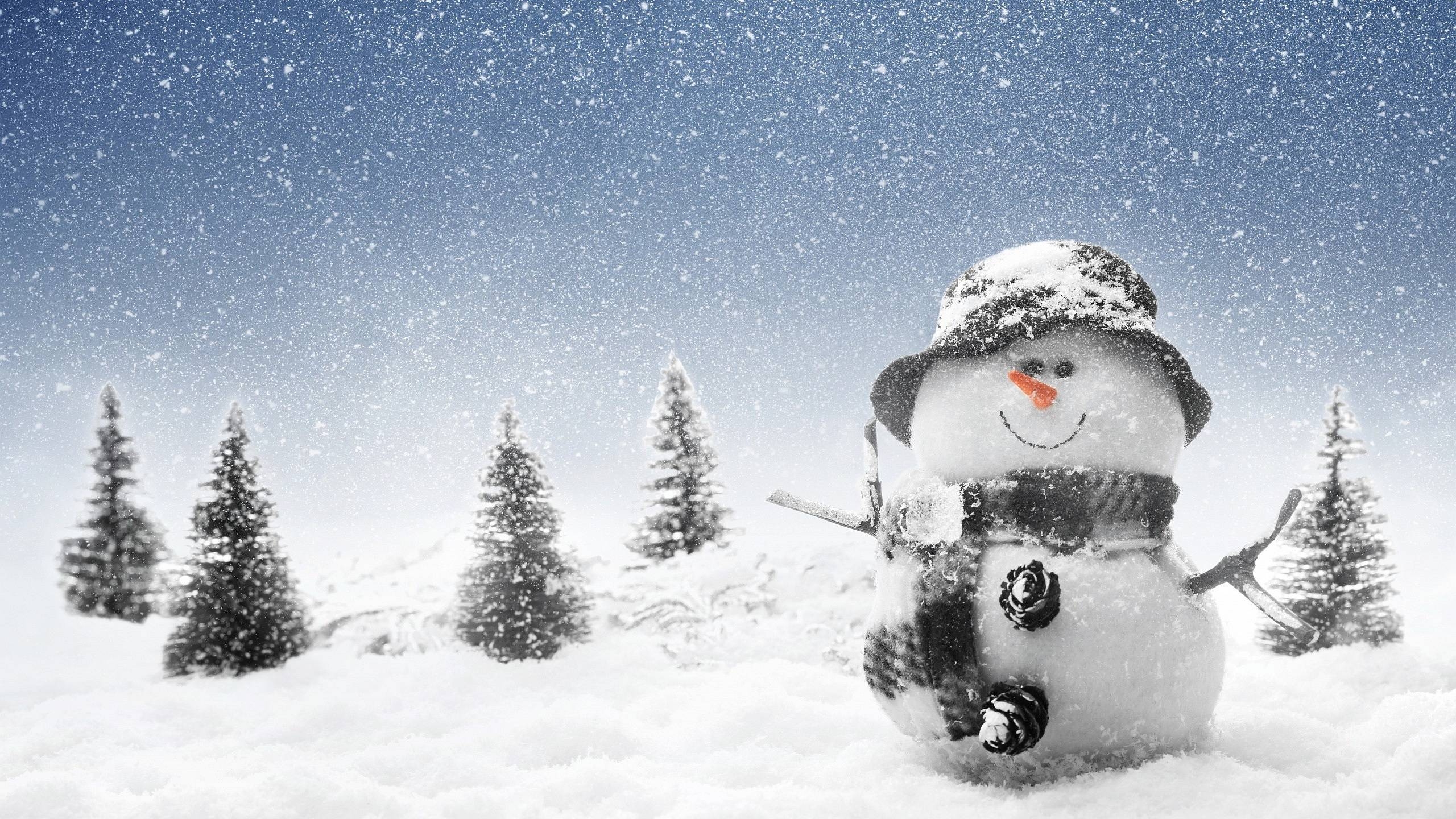 2560x1440 winter snowman wallpaper 2015, Desktop