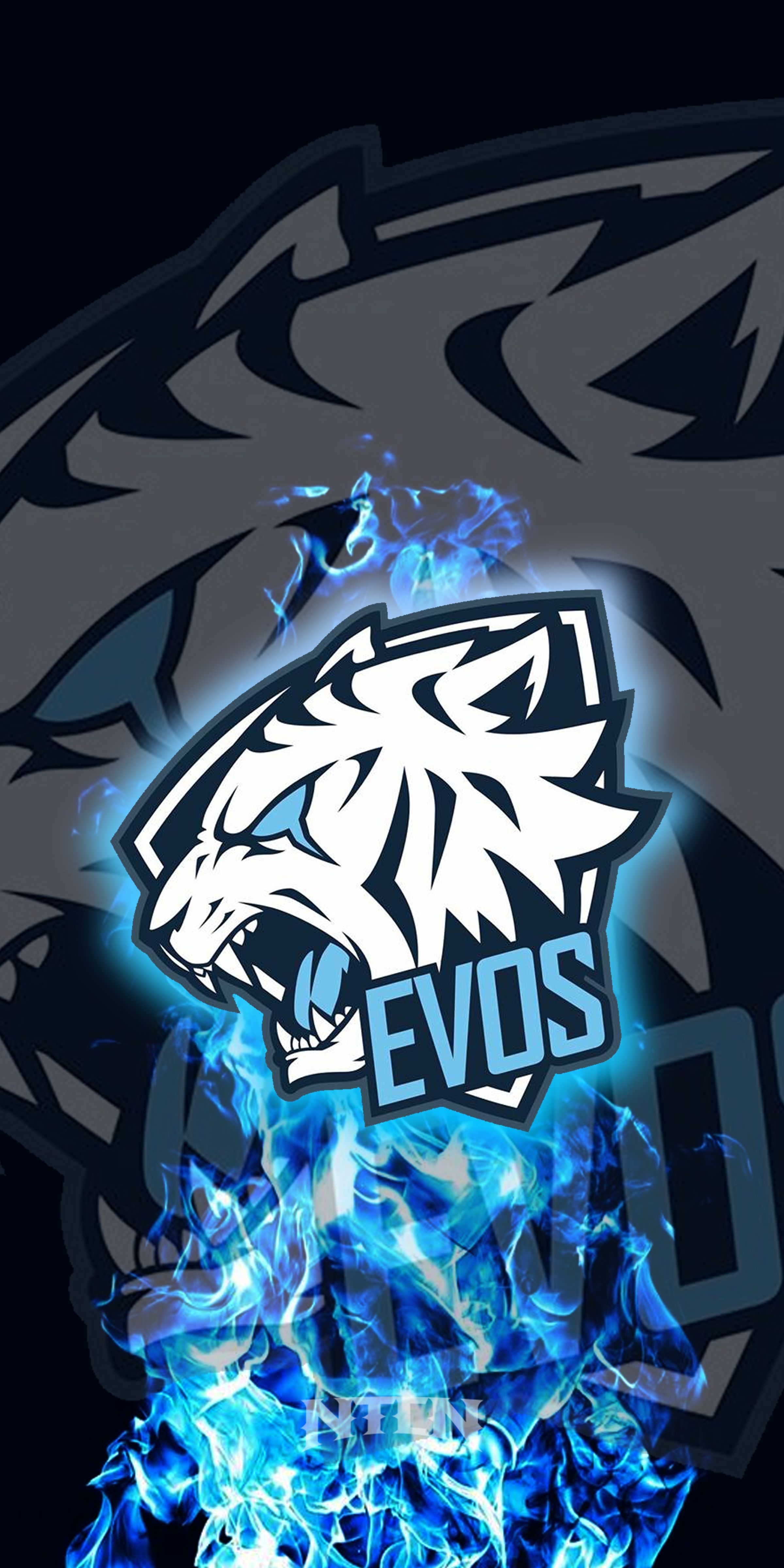 2400x4800 Logo Gamers Evos Wallpaper Smartphone, Wallpaper Mobile, Phone