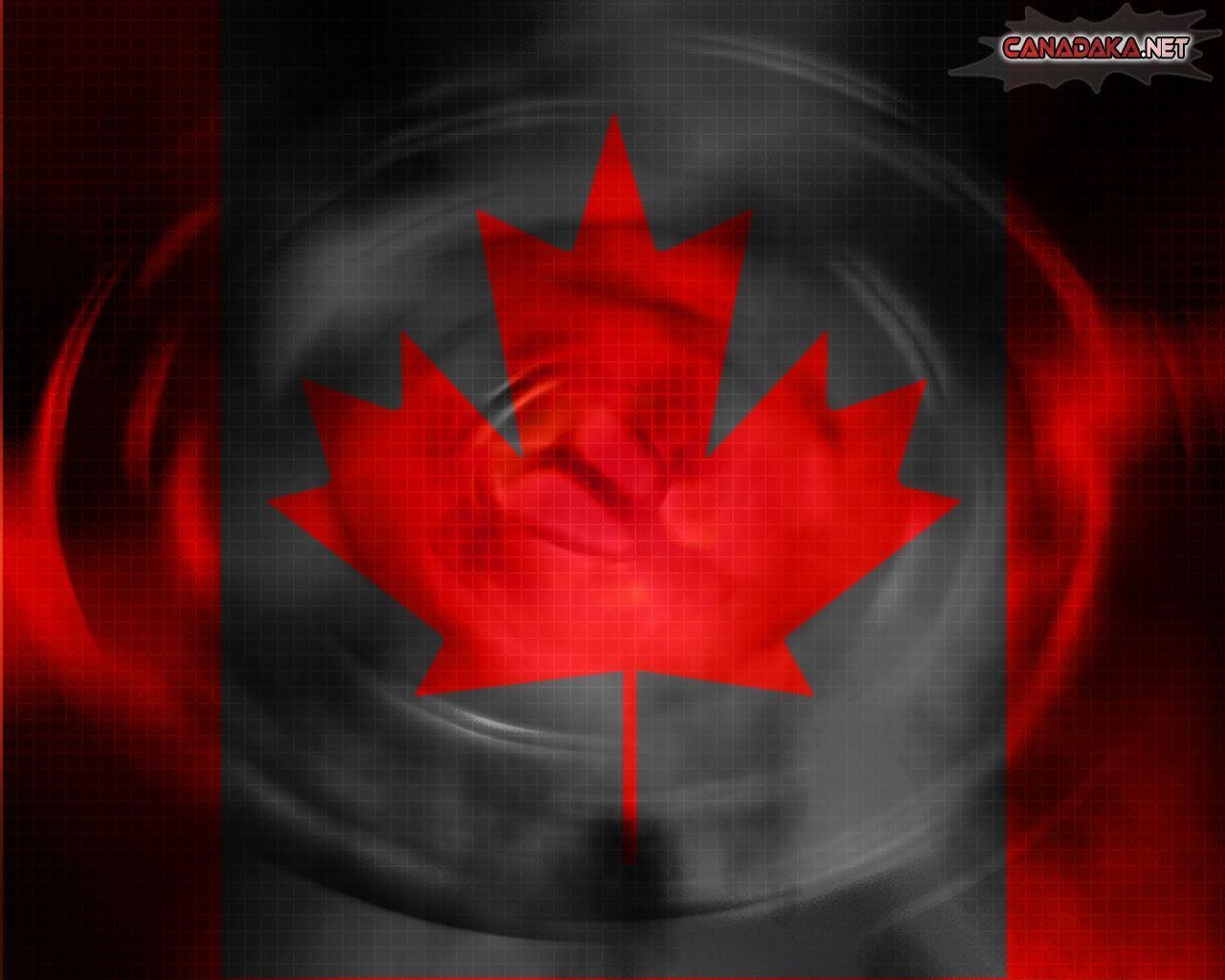 1280x1030 HD wallpaper Canada Flag Leaves Rocks HD Wallpaper flag, canada, Desktop