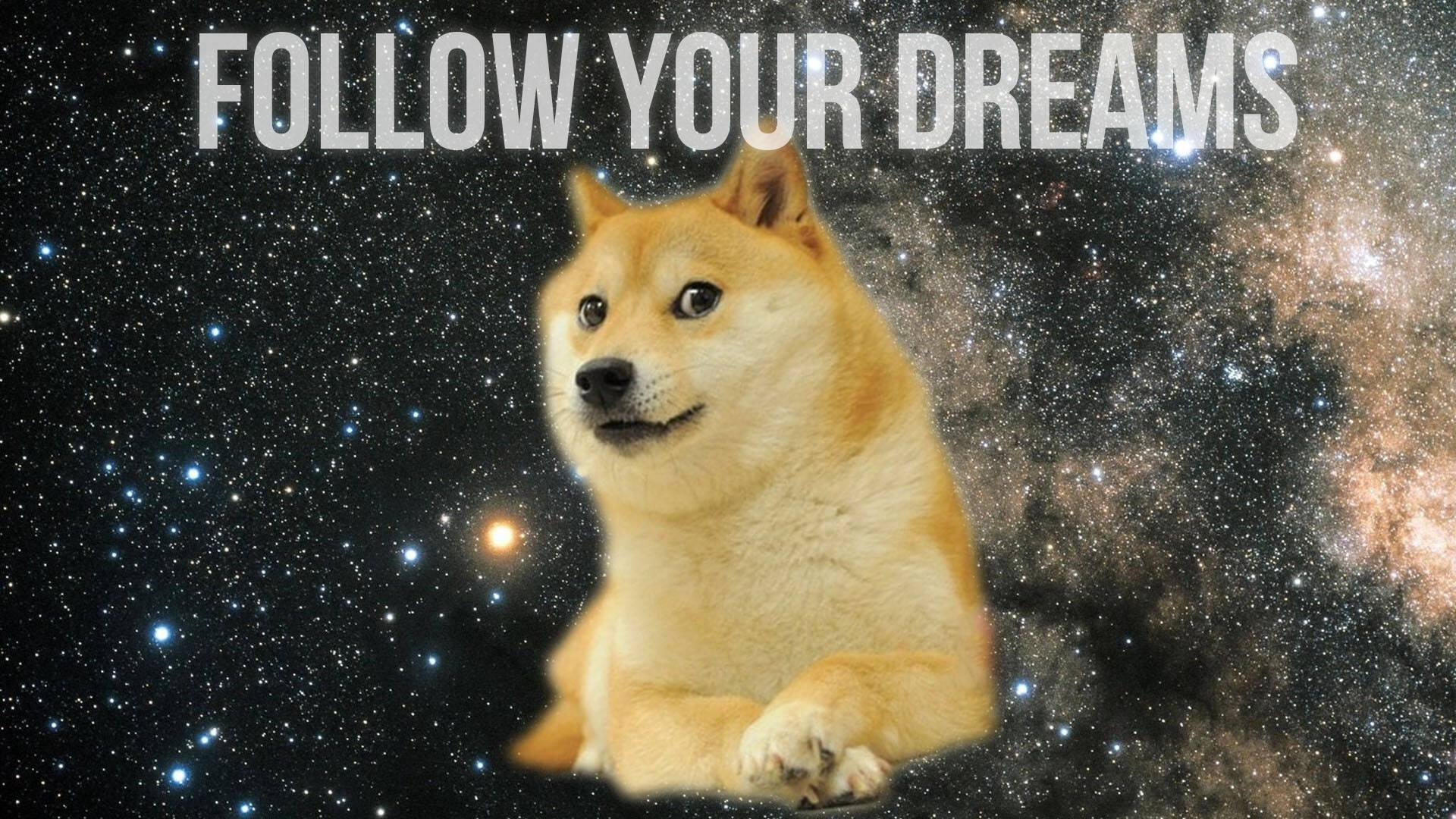1920x1080 Doge Wallpaper, Desktop