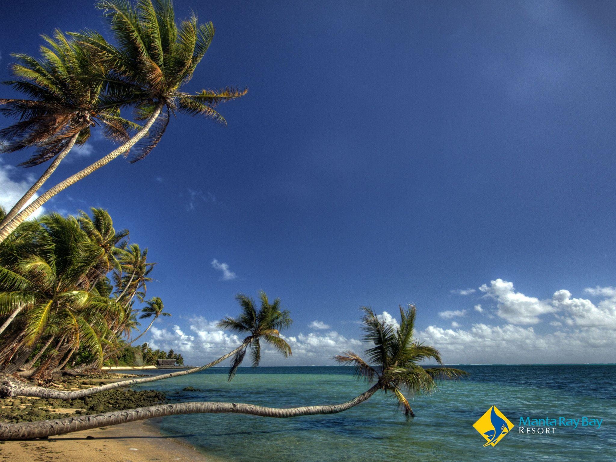 2050x1540 Manta Ray Bay Wallpaper Gallery. Manta Ray Bay Resort & Yap Divers, Desktop