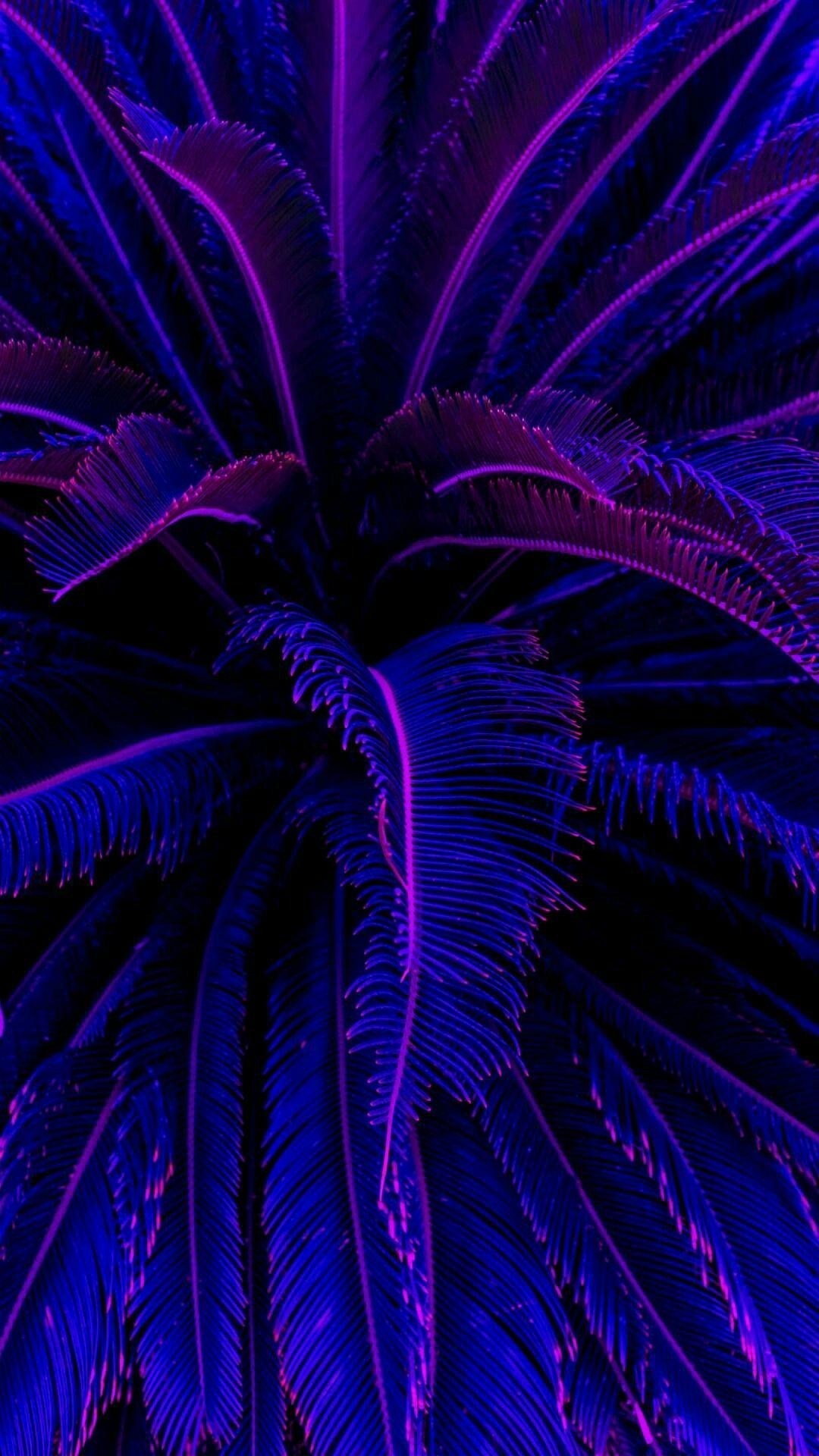 1080x1920 Neon Aesthetic Wallpaper, Phone
