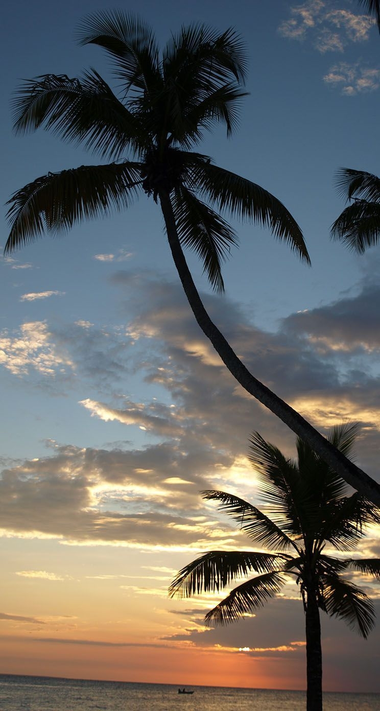 750x1400 Caribbean iPhone Wallpaper Free Caribbean iPhone Background, Phone