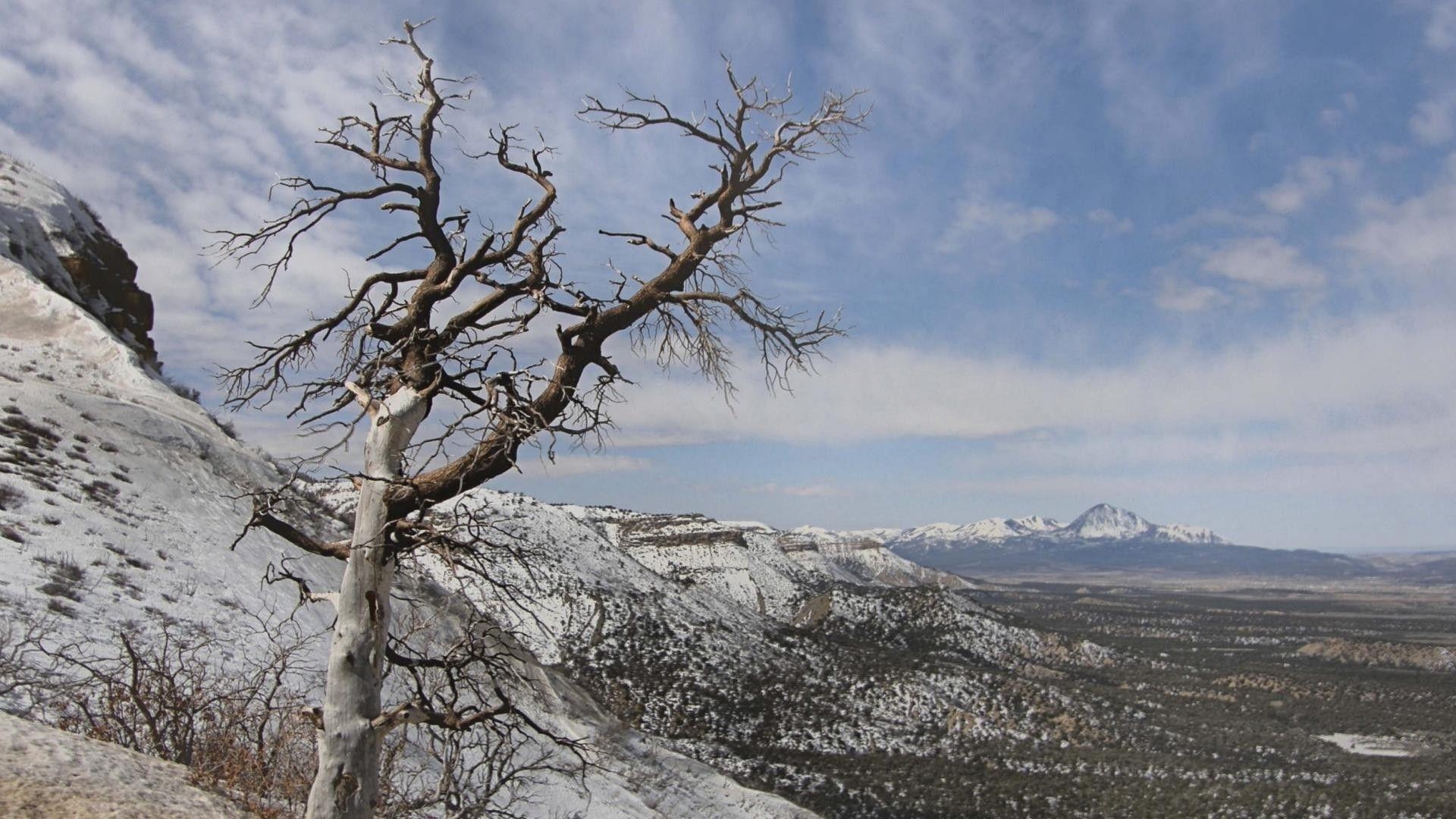 1920x1080 Mountain: Mesa Verde Colorado Mountains Tree Winter National Park, Desktop