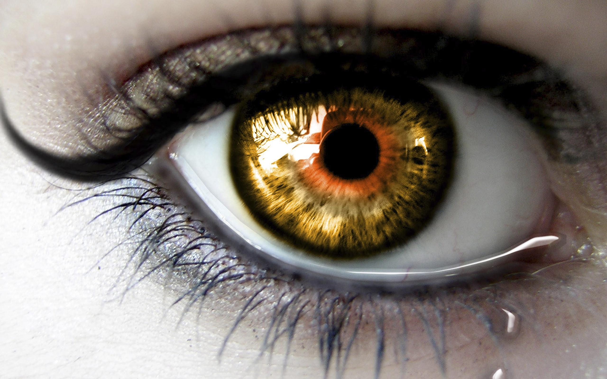 2560x1600 Crying Eyes Wallpaper, Desktop