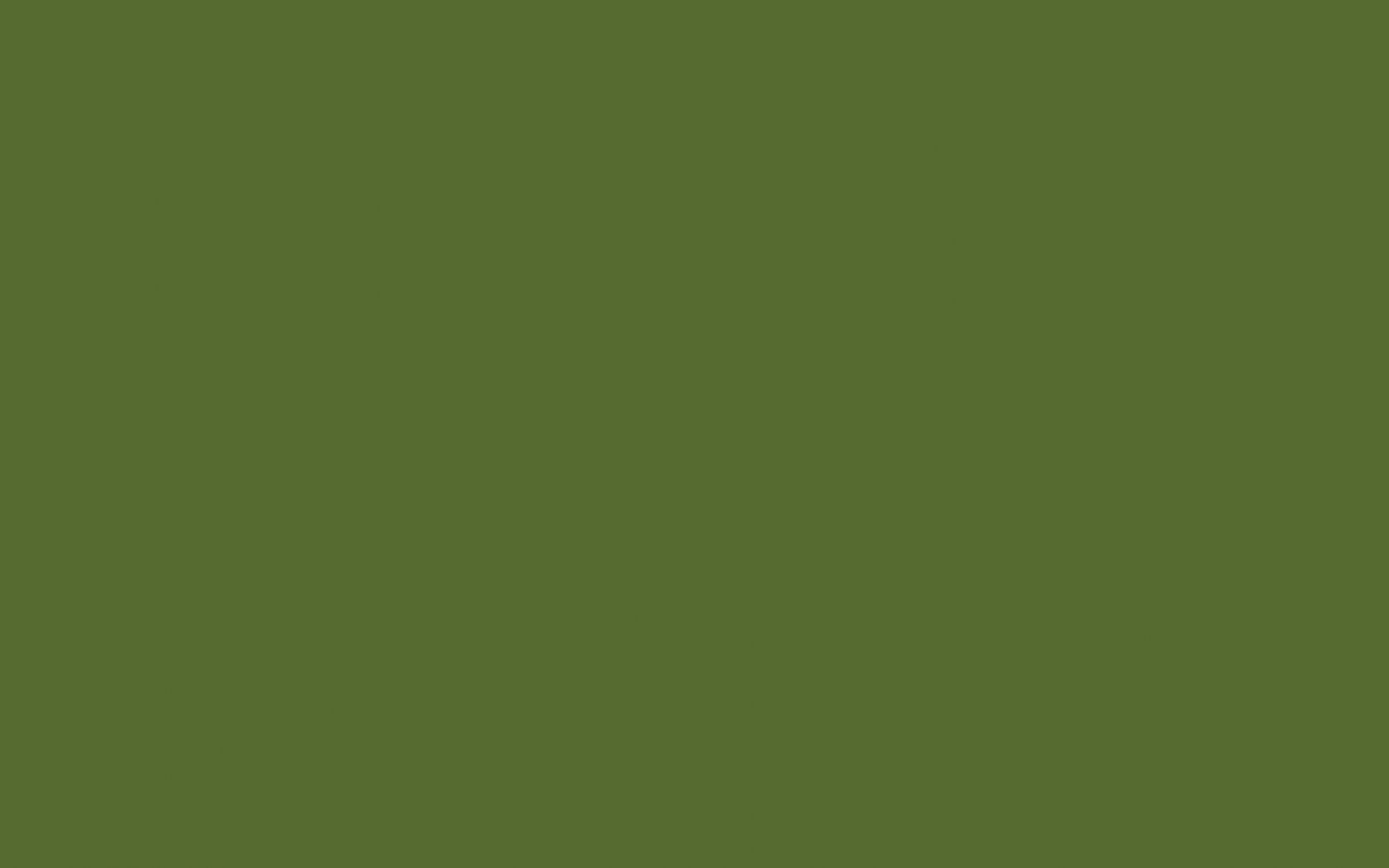 1680x1050 Free download Olive Green Wallpaper [2560x1440] for your Desktop, Desktop