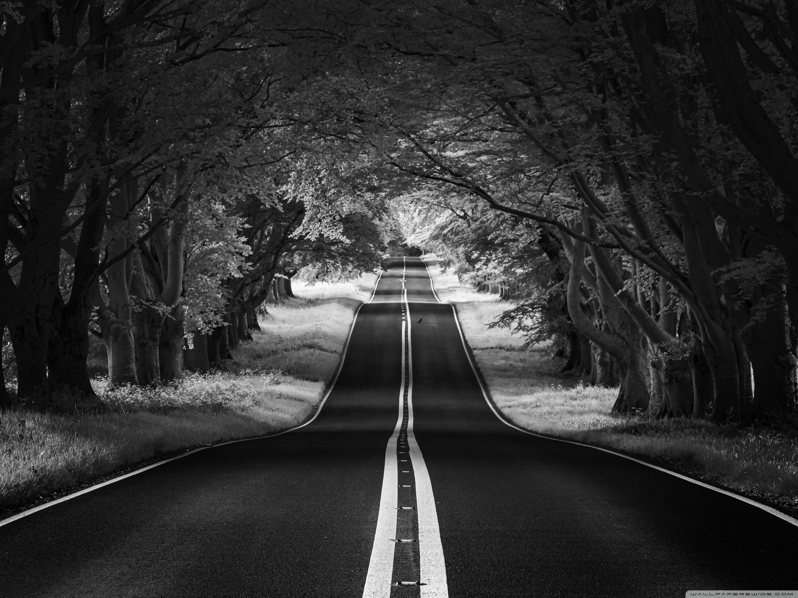 2800x2100 Road Landscape, Aesthetic, Black and White Ultra HD Desktop, Desktop