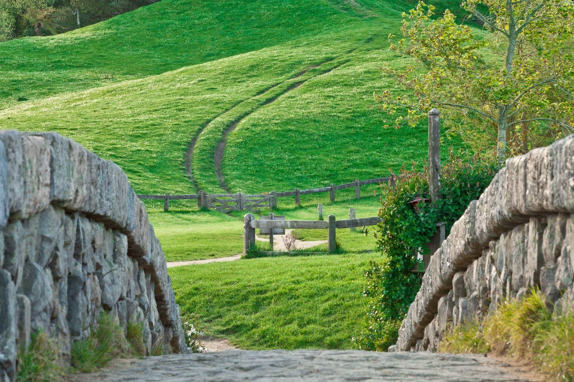 2000x1340 Green leafed tree, nature, landscape, Hobbiton, New Zealand HD, Desktop