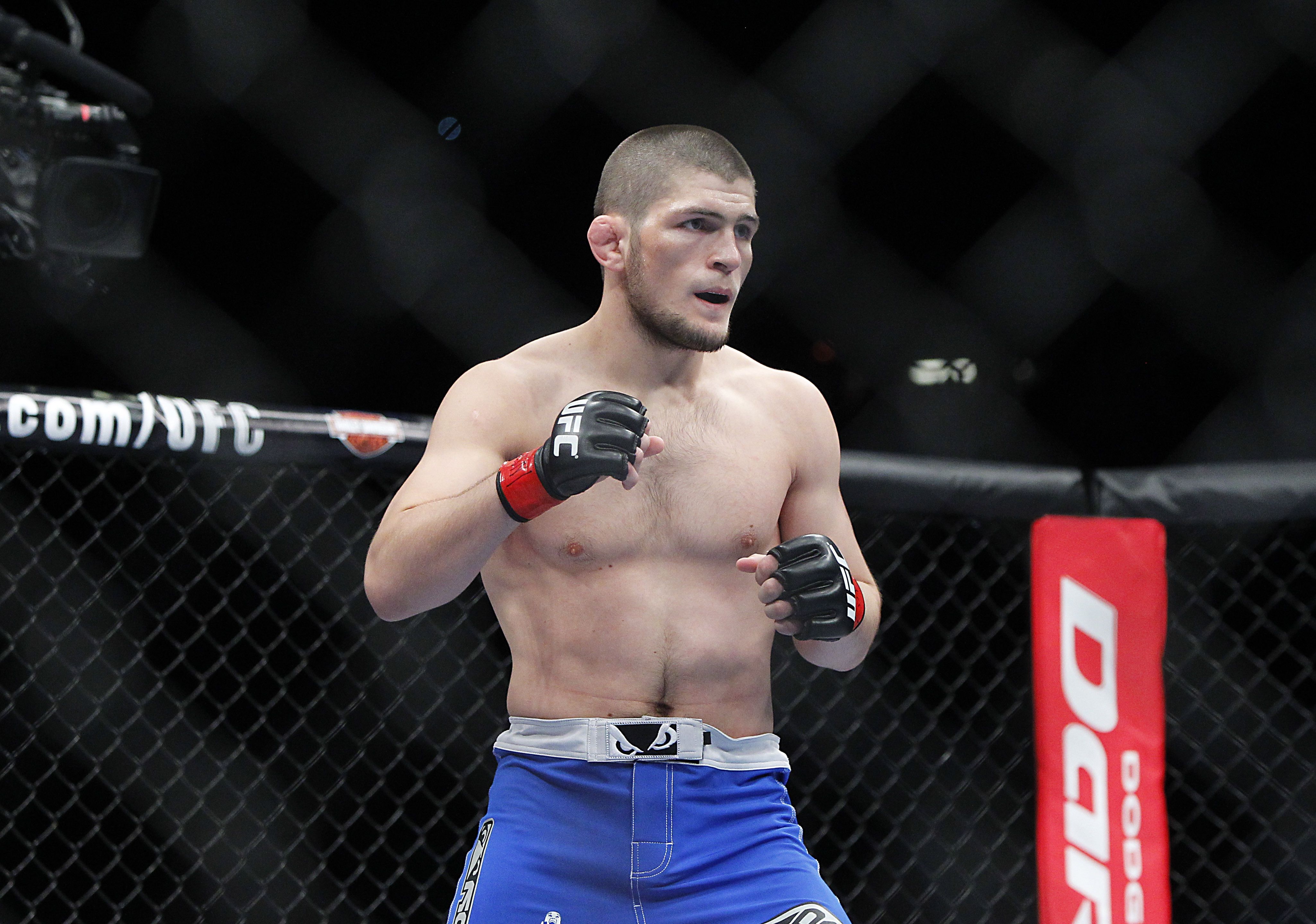 4100x2880 Khabib Nurmagomedov Wallpaper Image Photo Picture Background, Desktop