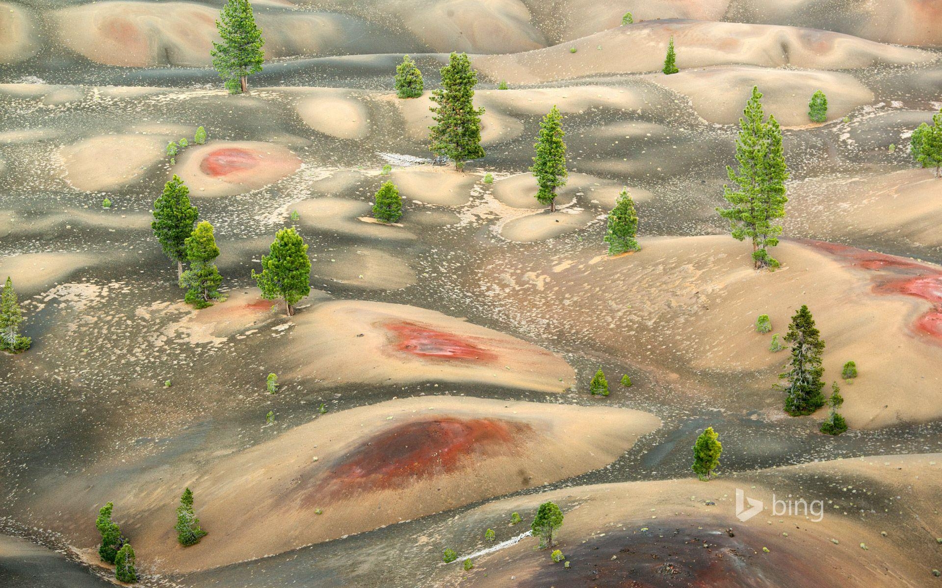 1920x1200 Painted Dunes below Cinder Cone, Lassen Volcanic National Park, Desktop