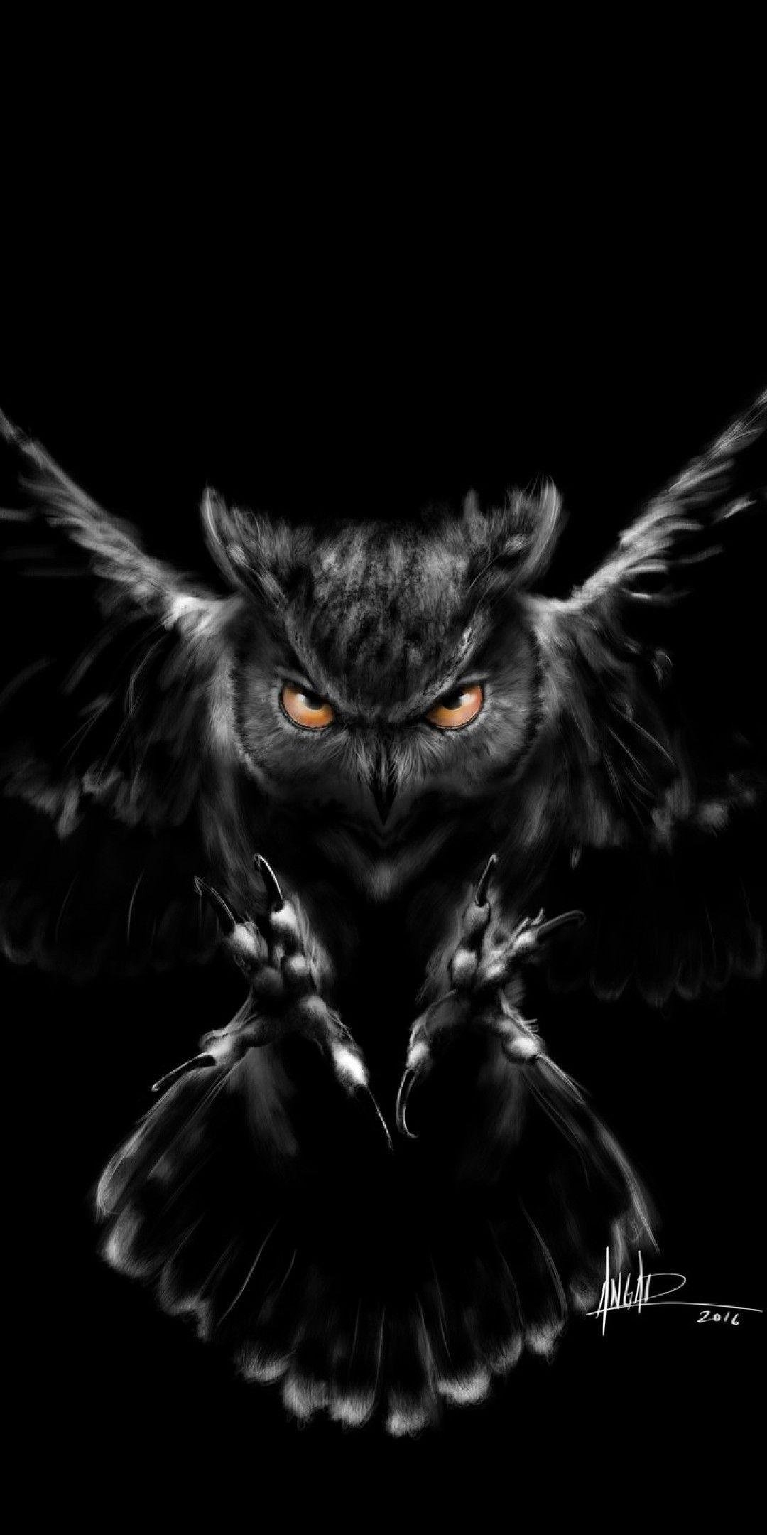 1080x2160 Black and white owl art Wallpaper Download, Phone