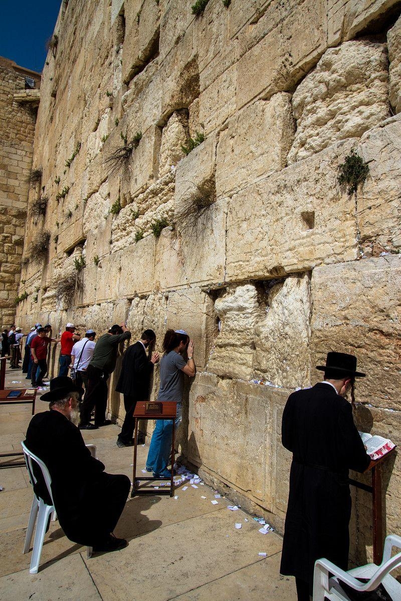 800x1200 Praying at the Western Wall Israel Wailing Wall black, Phone