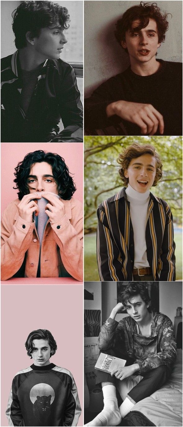 590x1380 Timothee Chalamet iPhone Wallpaper, Phone