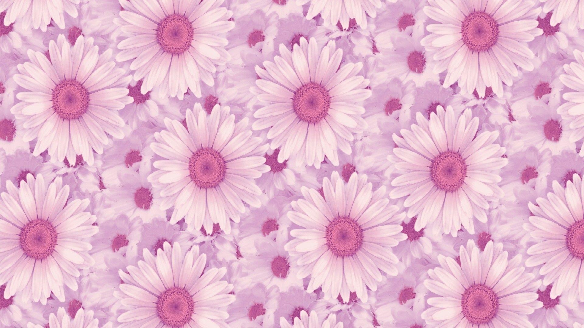 1920x1080 Aesthetic Flowers Wallpaper Laptop.sadistria.blogspot.com, Desktop
