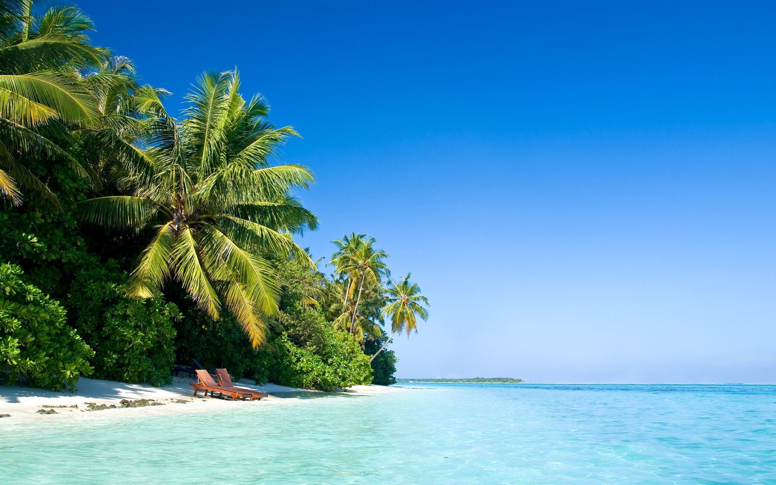 2560x1600 Wallpaper Maldive, palm trees, beach, chair, sea, tropical 3840x2160 UHD 4K Picture, Image, Desktop