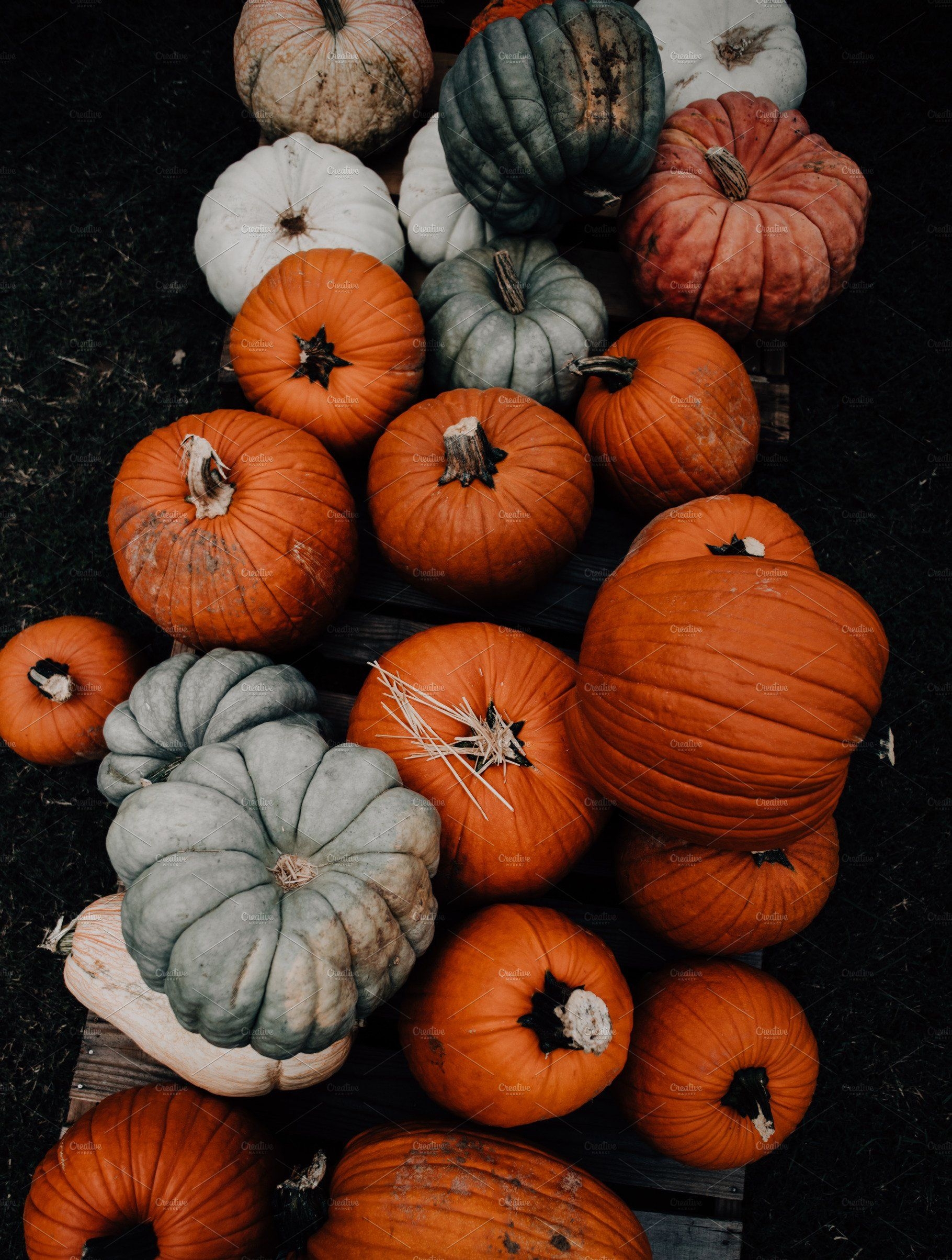 1820x2410 Fall Pumpkin Patch, Farmers Market. Cute fall wallpaper, iPhone wallpaper fall, Pumpkin wallpaper, Phone