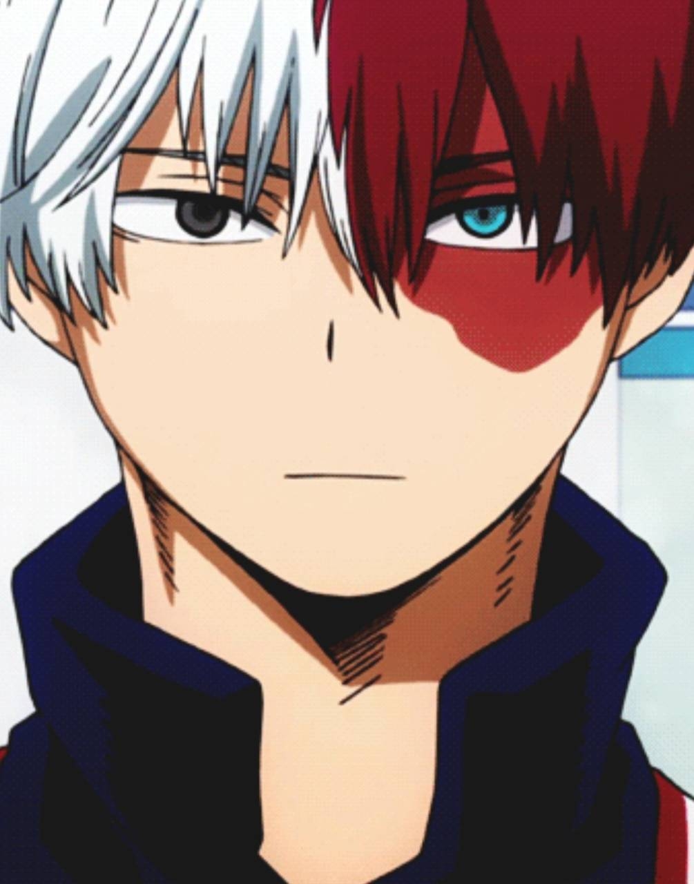 1010x1280 Todoroki Shoto Wallpaper, Phone