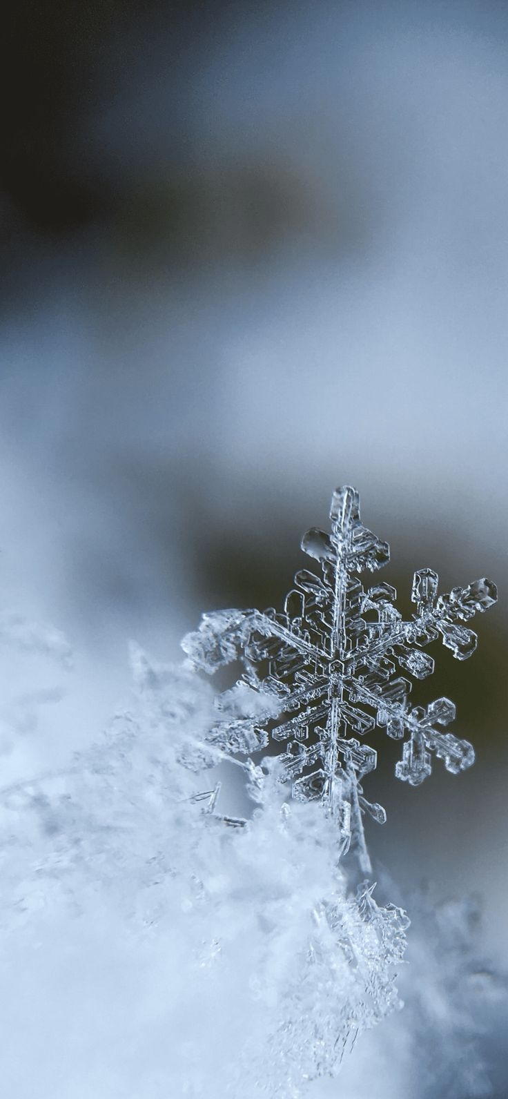 740x1600 Free Download Snowflakes Wallpaper HD For IPhone Pro Max, X, 6 6S, 5 5S And IP. Snowflake Wallpaper, Wallpaper Iphone Christmas, IPhone Wallpaper Winter, Phone