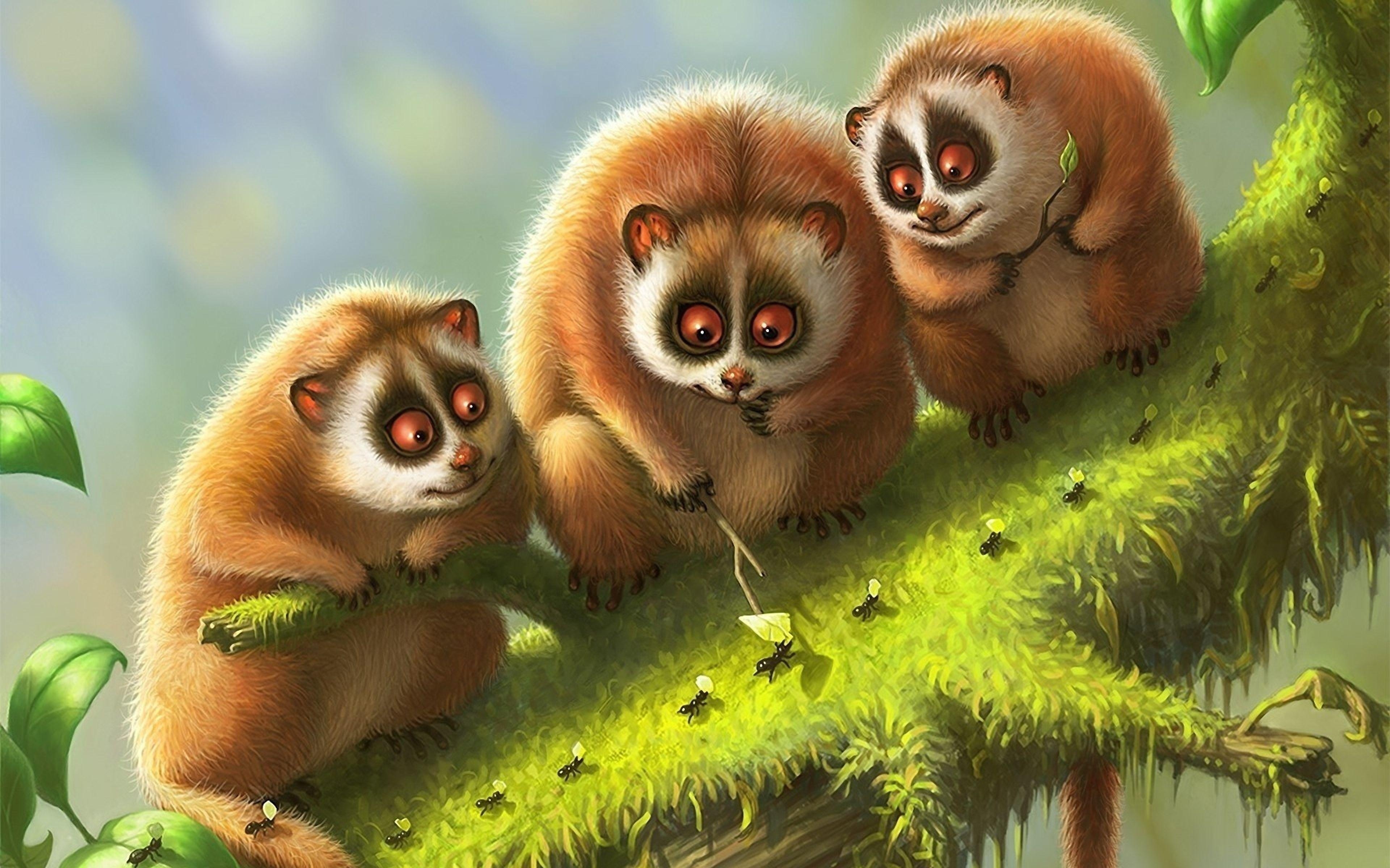 3840x2400 Download Wallpaper  Lemur, Lemurs, Branch, Animals, Moss, Desktop