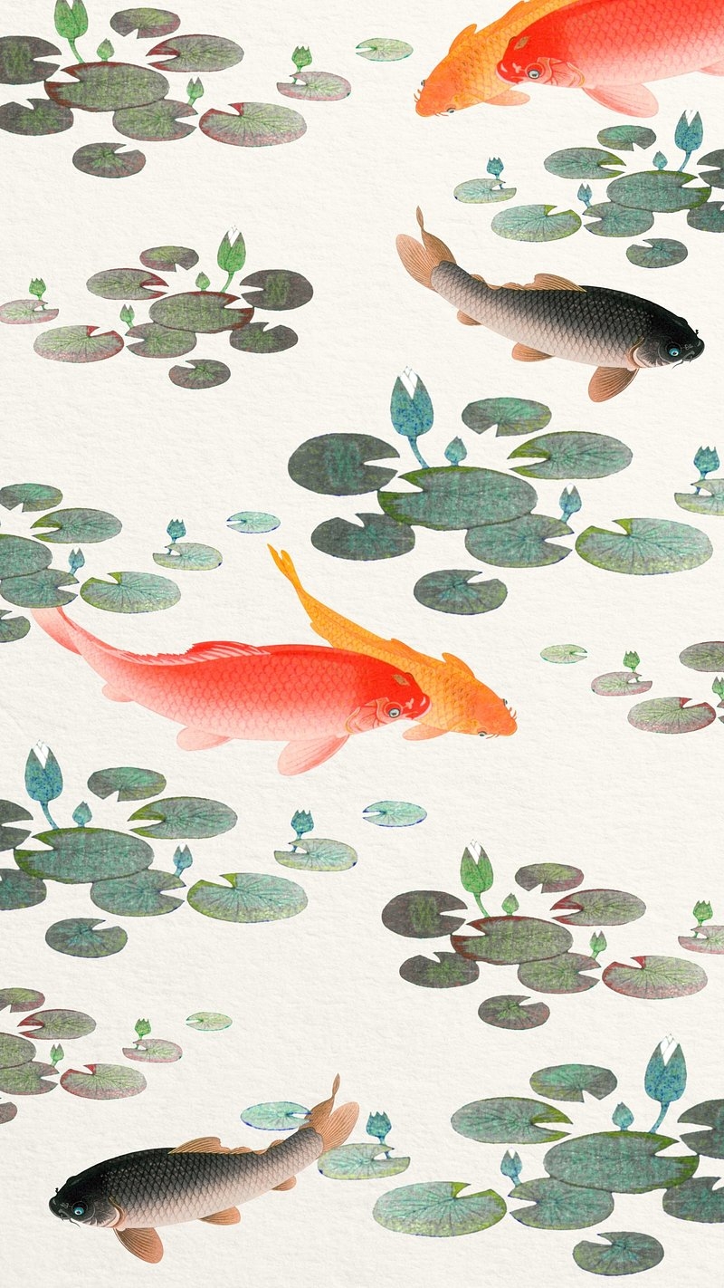 800x1430 Koi carp fish iPhone wallpaper, Phone