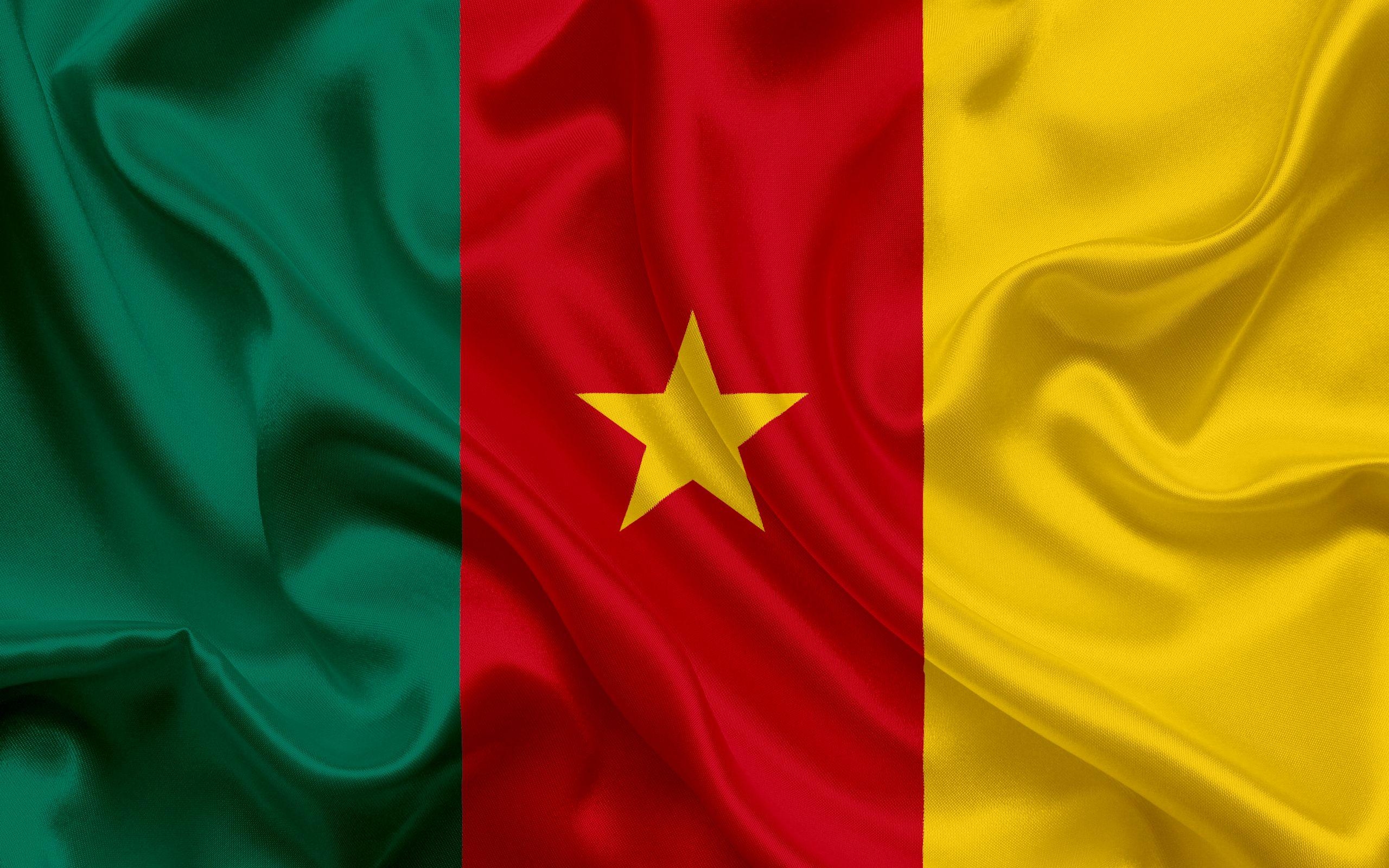 2560x1600 Download wallpaper Cameroon flag, Africa, Cameroon, national, Desktop