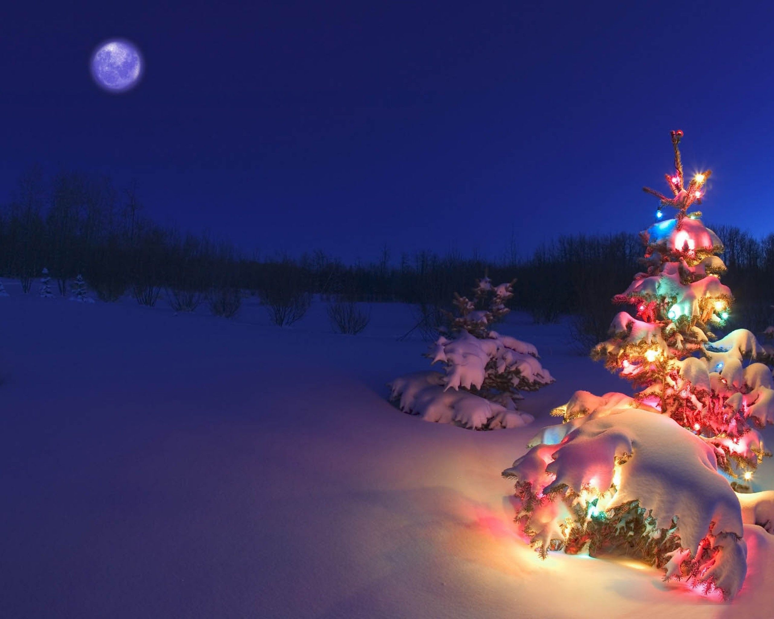 2560x2050 Winter Wonderland: snowy winter scenes & Christmas trees, Desktop