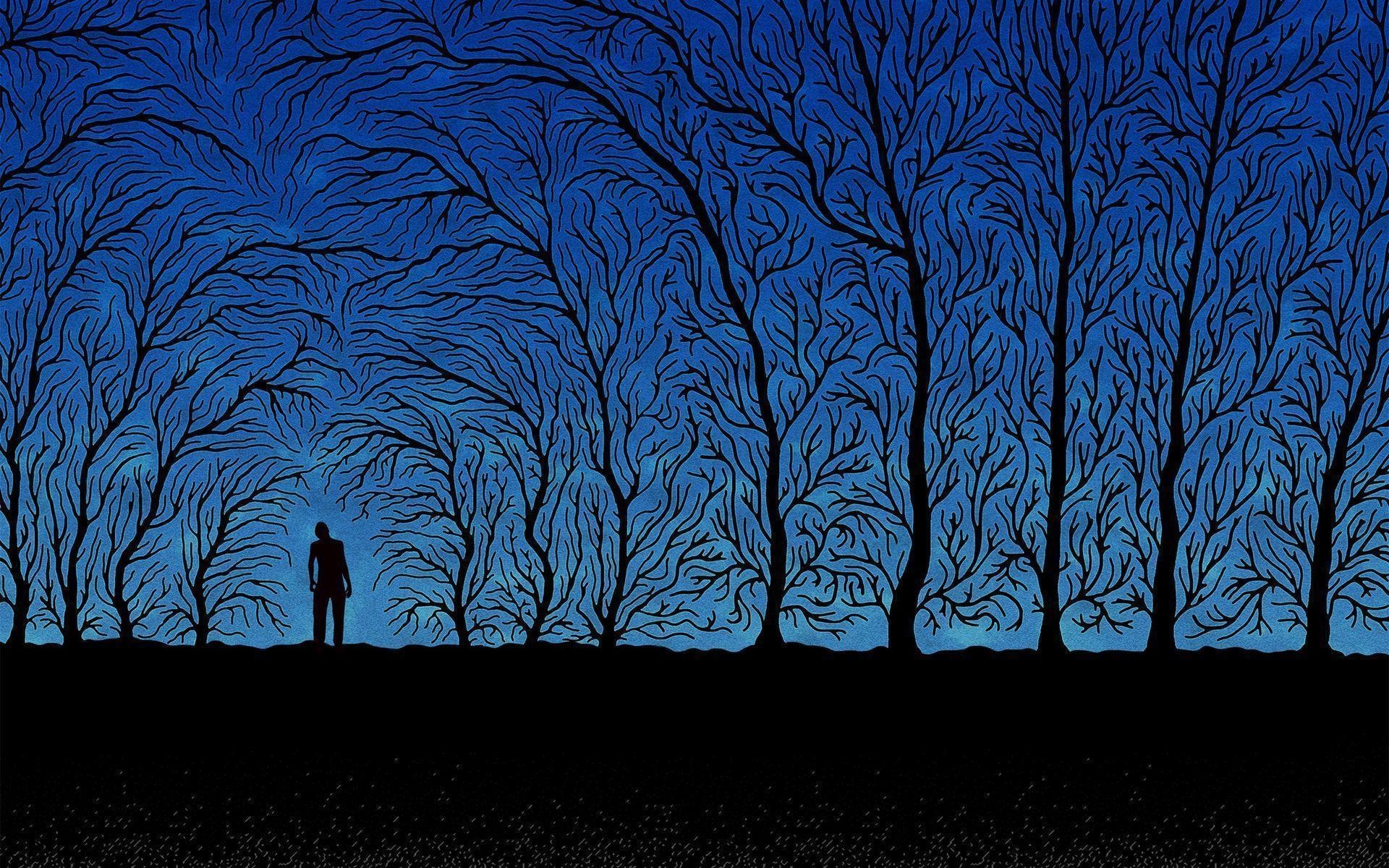 1920x1200 Silhouette in the creepy forest Wallpaper #, Desktop