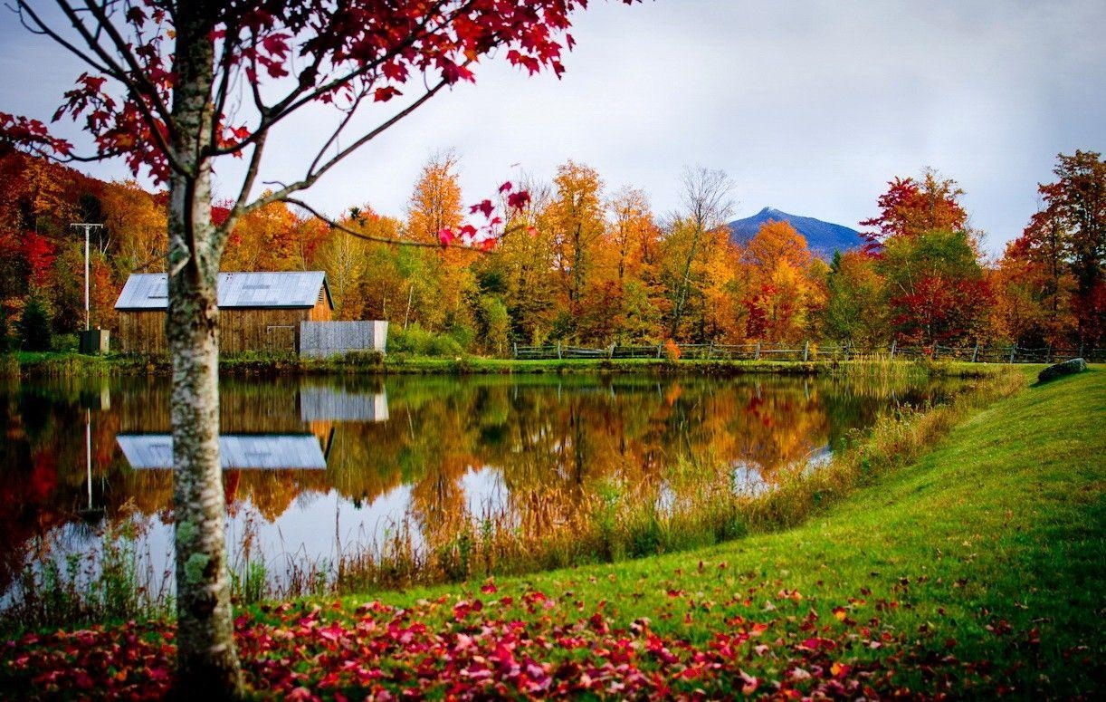 1230x780 Vermont Tag wallpaper: Nice Pretty Cottage Forest Shore America, Desktop