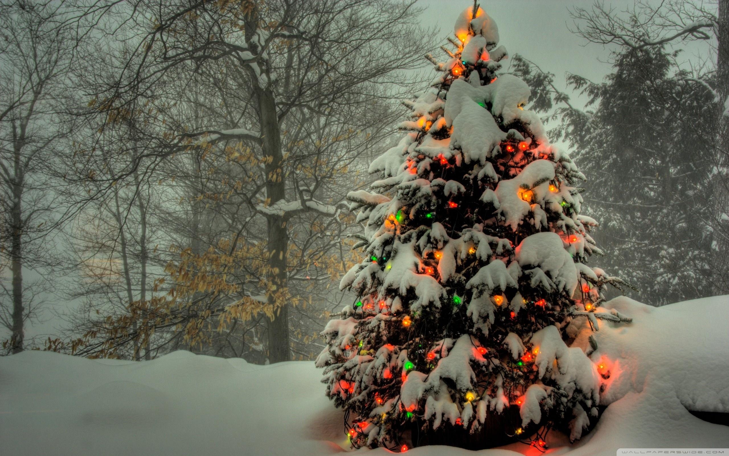 2560x1600 Dual Screen Christmas Wallpaper, Desktop