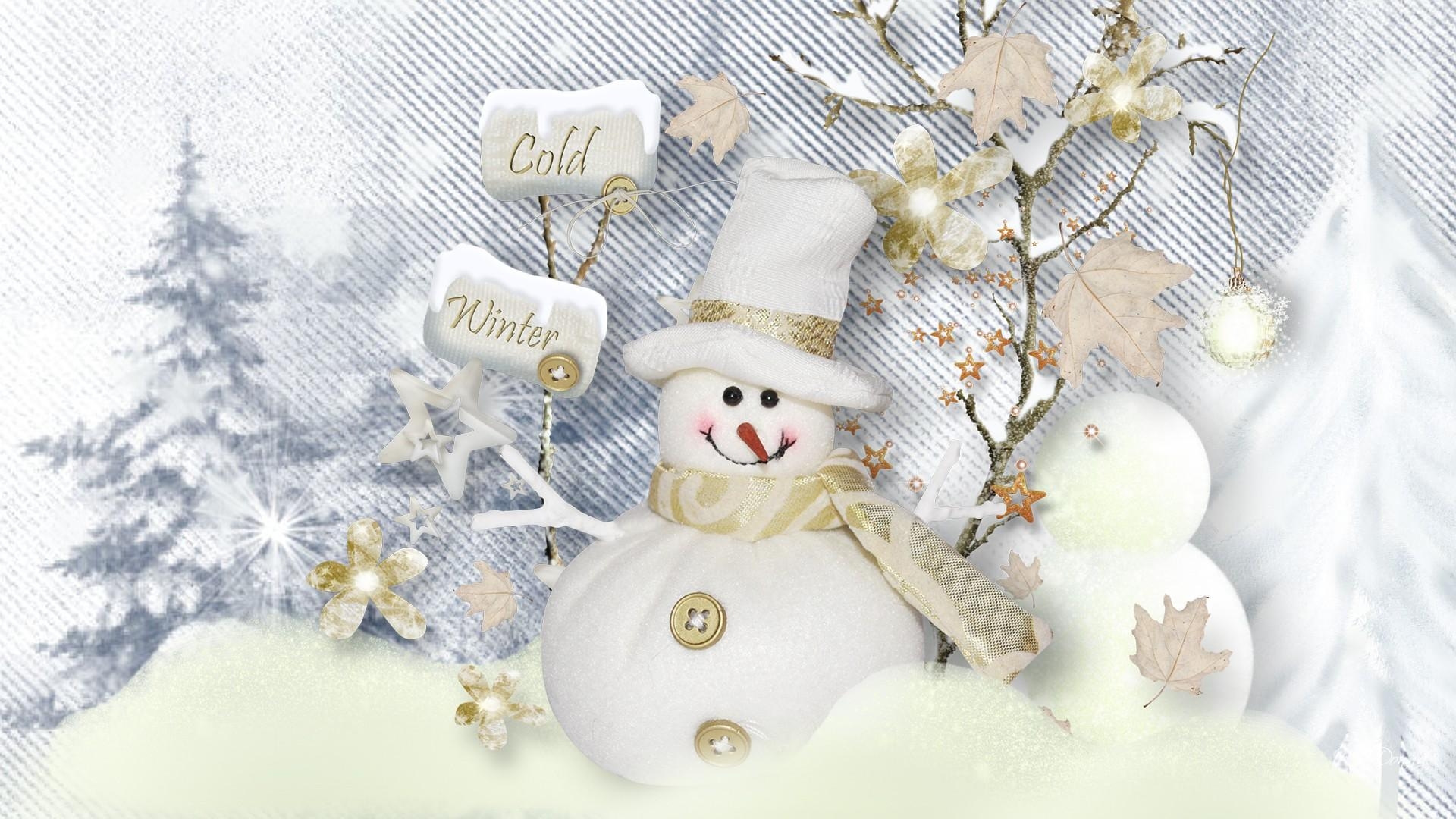 1920x1080 HD Winter Fun Snowman Wallpaper, Desktop