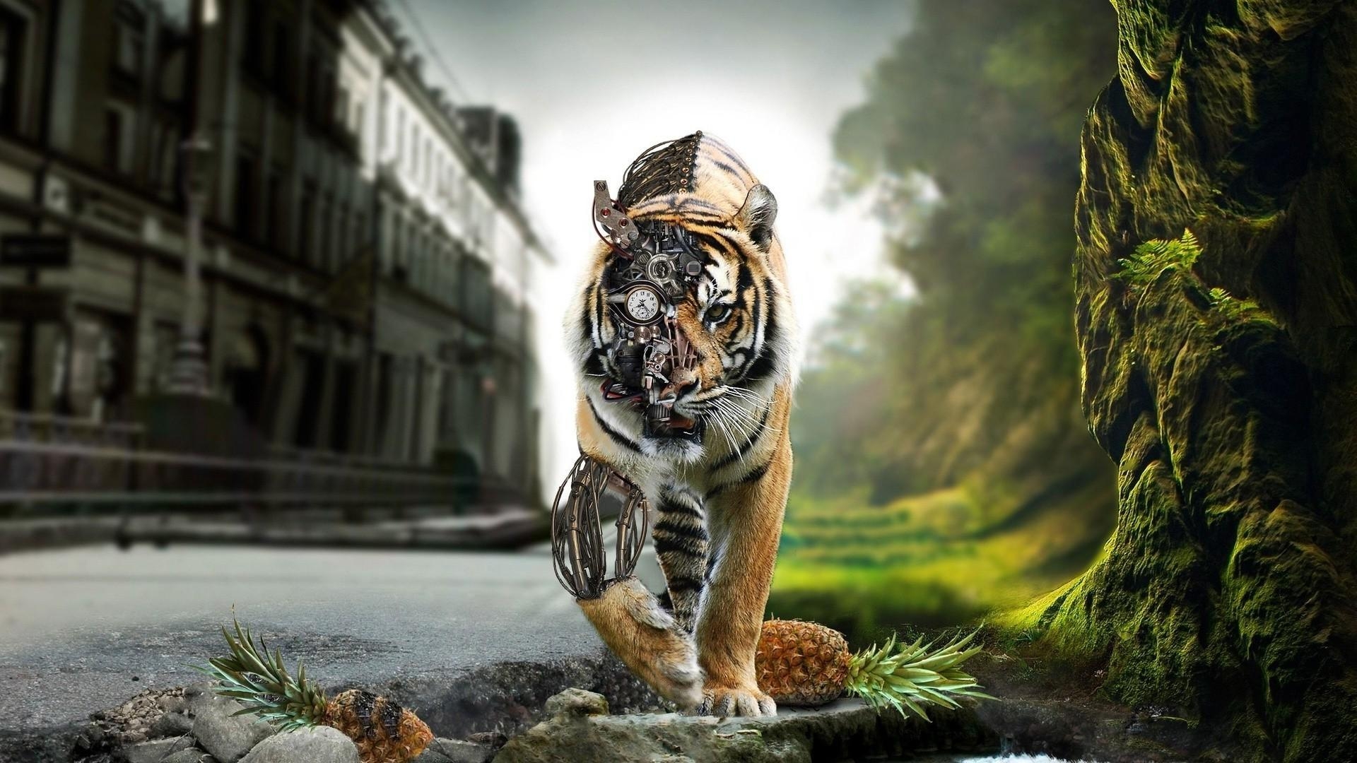 1920x1080 Tiger Wallpaper background picture, Desktop