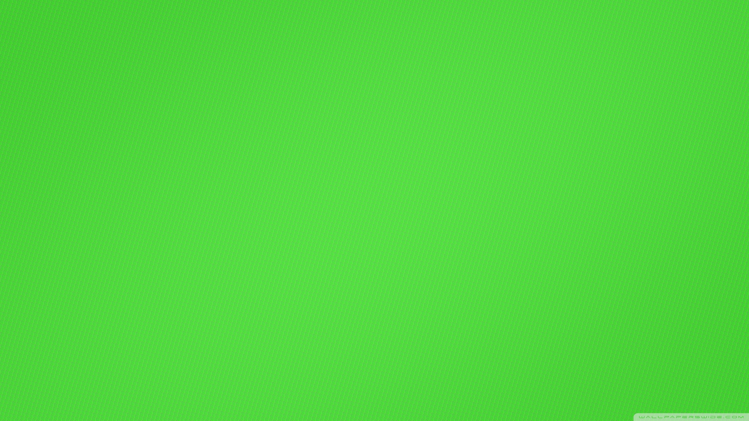 2560x1440 Plain Green Wallpaper Widescreen, Desktop