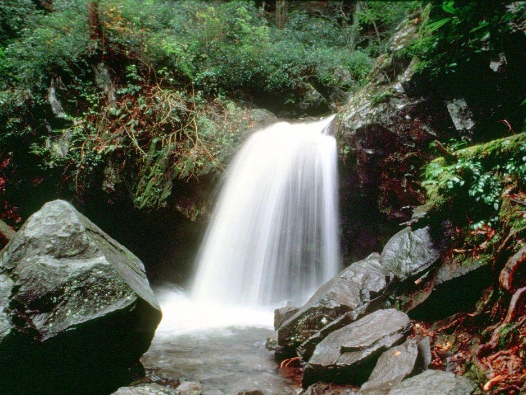 1030x770 Great Smoky Mountains National Park: 10 tips for your visit, Desktop