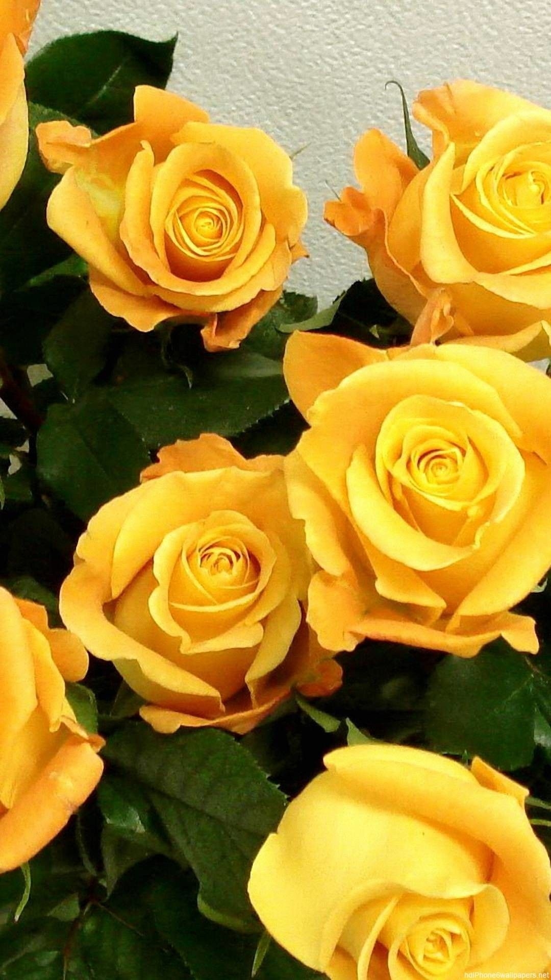 1080x1920 Yellow Flower Wallpaper iPhone, Download Wallpaper, Phone