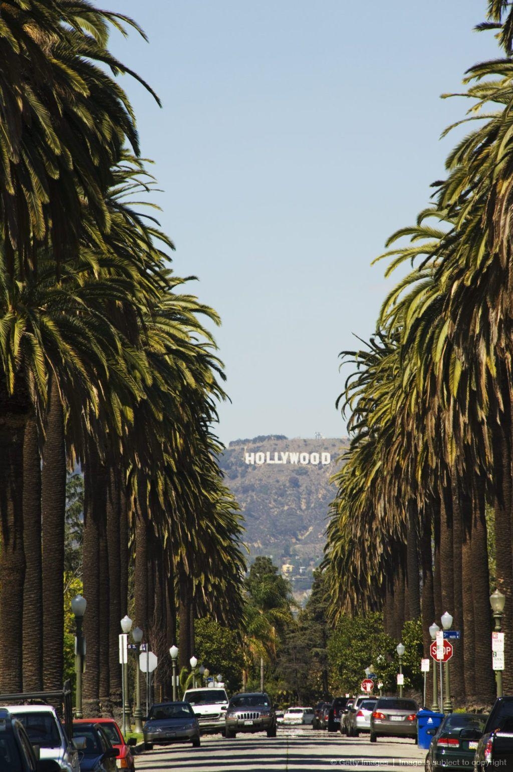 1030x1550 Hollywood Hills and the Hollywood Sign, Los Angeles, California, Phone