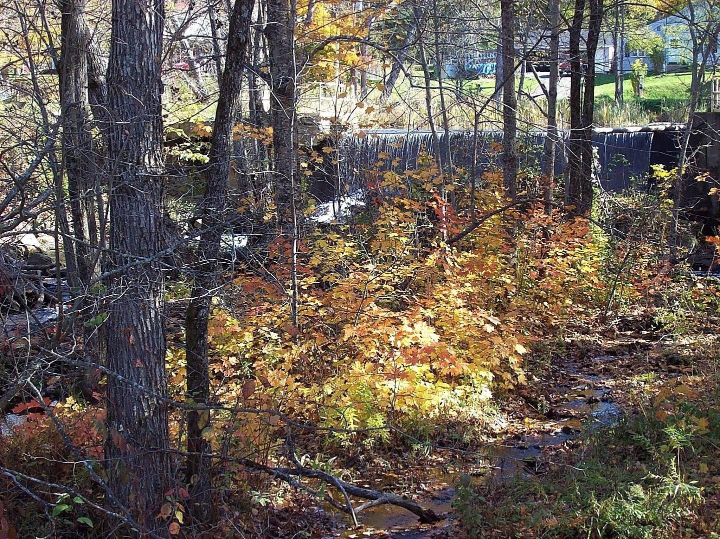 1440x1080 Forest Madison East Autumn Trees Fall Maine Leaves Free Wallpaper, Desktop