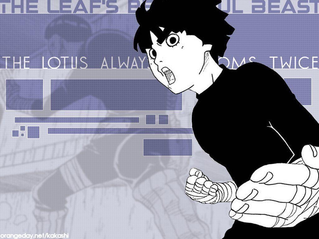 1030x770 Rock Lee iPhone Wallpaper, Desktop