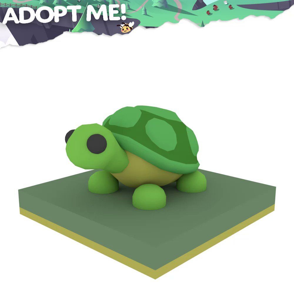 1000x1000 Turtle name idea's. Pet adoption certificate, Pet store ideas, Cute tumblr wallpaper, Phone